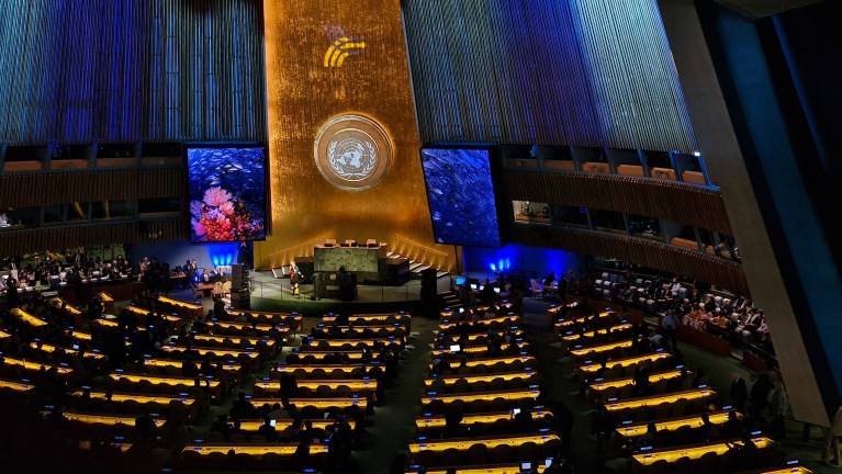 Back to the “Future” or Stuck in the Realms of Cold War: The UN Summit of the Future 